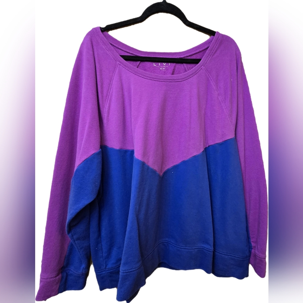 3X Livi Colorblock Sweatshirt